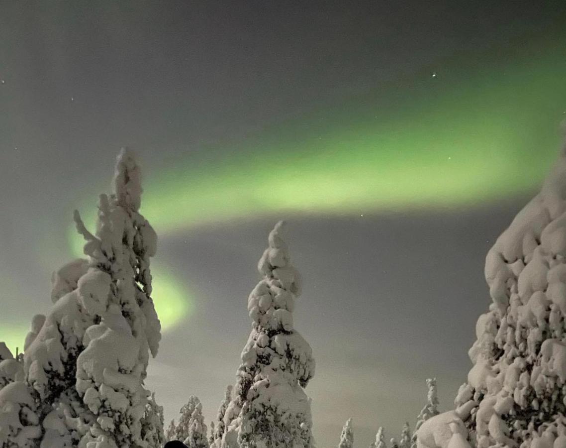 Sofia Rovaniemi City Apartment المظهر الخارجي الصورة