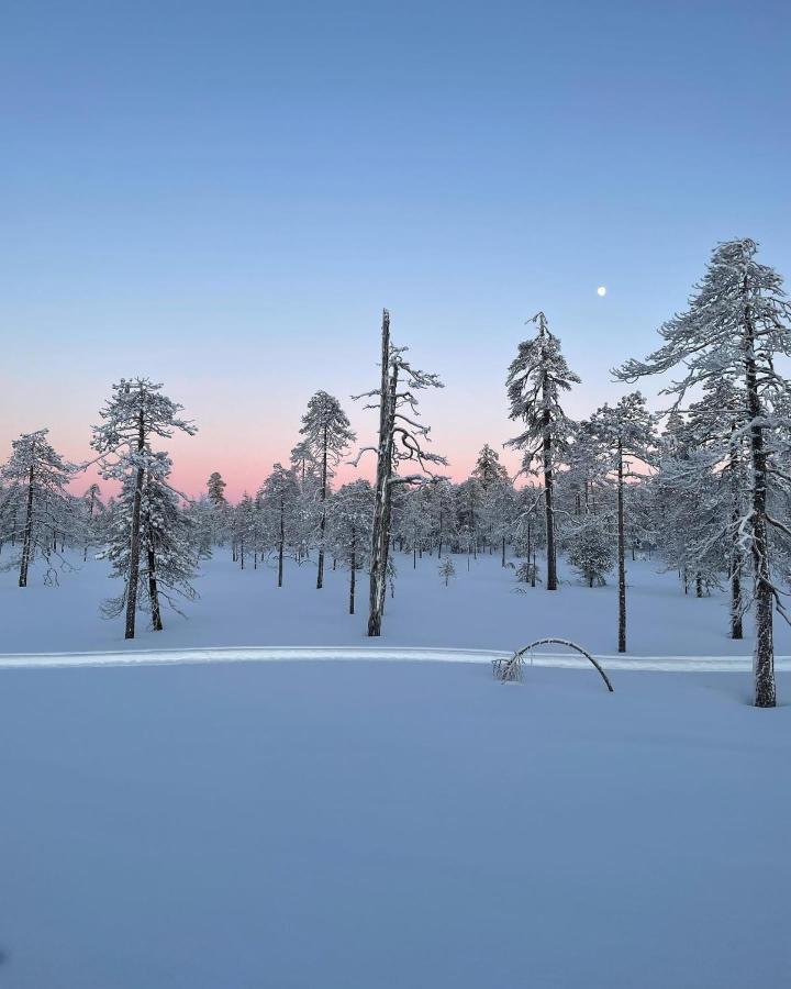 Sofia Rovaniemi City Apartment المظهر الخارجي الصورة
